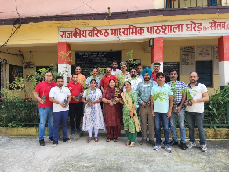 नेशनल यूनियन आफ जर्नलिस्टस इंडिया ने रावमा पाठशाला घरेड में किया पौधारोपण