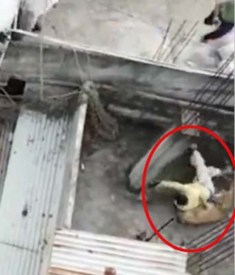 रिहायशी इलाके में घुसे तेंदुए ने तीन लोगों पर किया हमला, देखें वीडियो