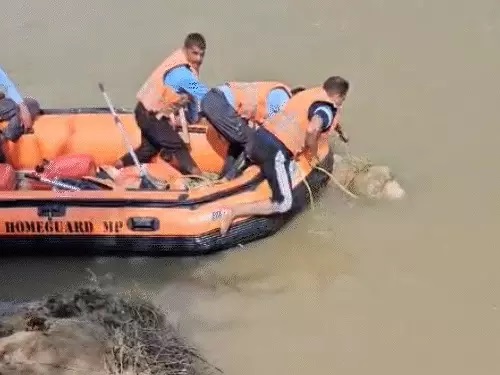 शव को बाहर निकालती टीम।