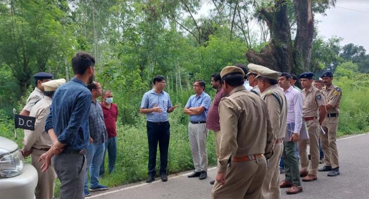 एनजीटी टीम ने गुगलैहड़-दियोली सड़क पर पेड़ की शाखाएं काटने के आरोपों की जांच की