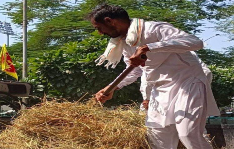 पंजाबः किसानों ने डीसी दफ्तर के बाहर लगाए पराली के ढेर, दी ये चेतावनी