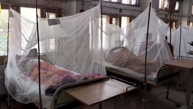 पंजाबः इस जिले में डेंगू 163 मामले आए सामने