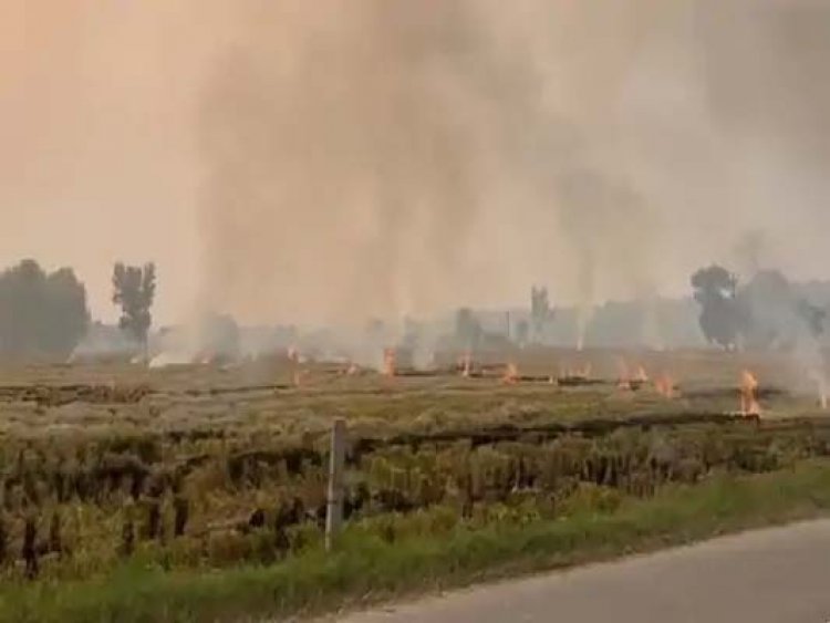 पंजाबः पराली जलाने के मामलों के कारण रैड कैटेगरी में आया राज्य का AQI