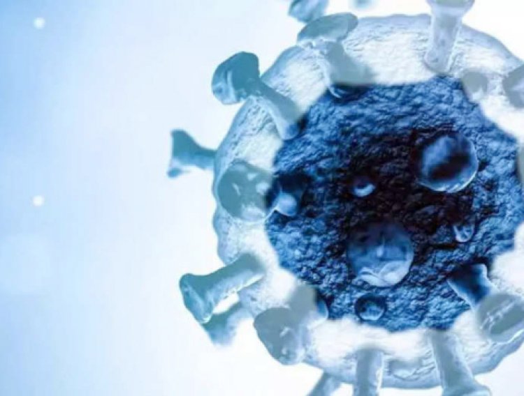 कोरोना के बाद अब आया नया वायरस, 48 हज़ार साल बाद हुआ जिंदा