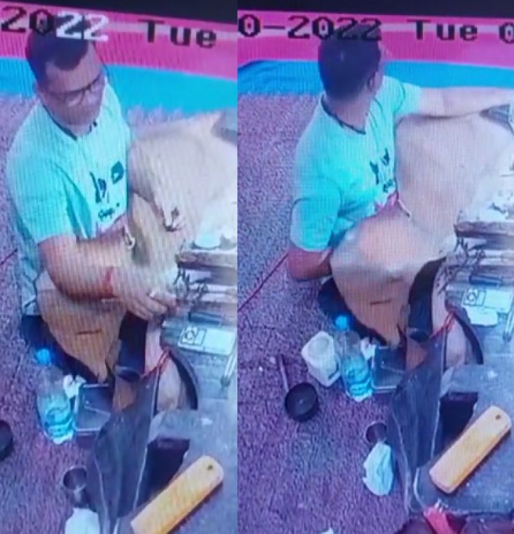 पंजाबः ज्वेलर शॉप का कारीगर ही बना चोर, सोना चुराकर हुआ फरार, देखें CCTV 