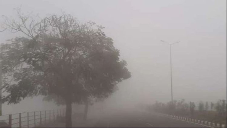 पंजाब समेत उत्तर भारत में शीतलहर की चेतावनी, IMD ने जारी किया बारिश का अलर्ट