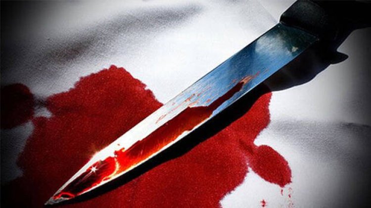 घटना उड़ा देगी होश : 5 साल के बच्चे ने चाकू घोंप कर दी अपने भाई की हत्या