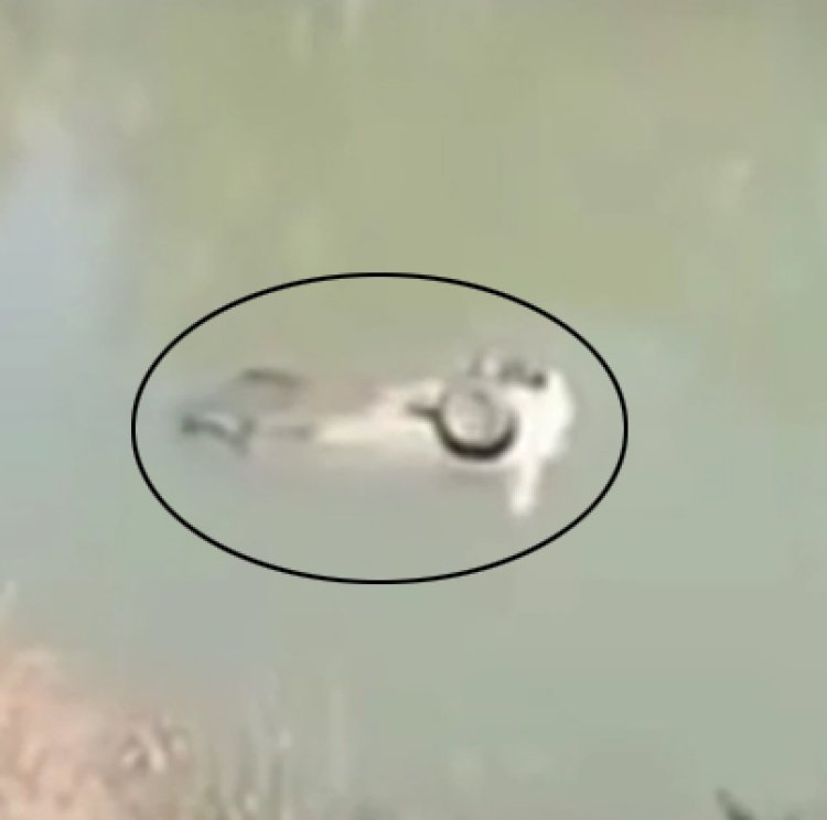 हवा में पलटियां खाते हुए नहर में गिरी कार, देखें वीडियो 