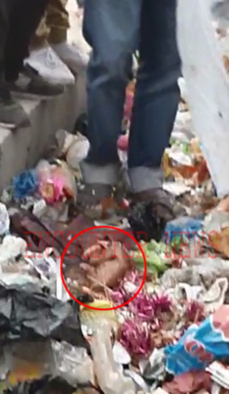 जालंधरः इस इलाके में बच्चे का भ्रूण मिलने से मचा हड़कंप, देखें वीडियो