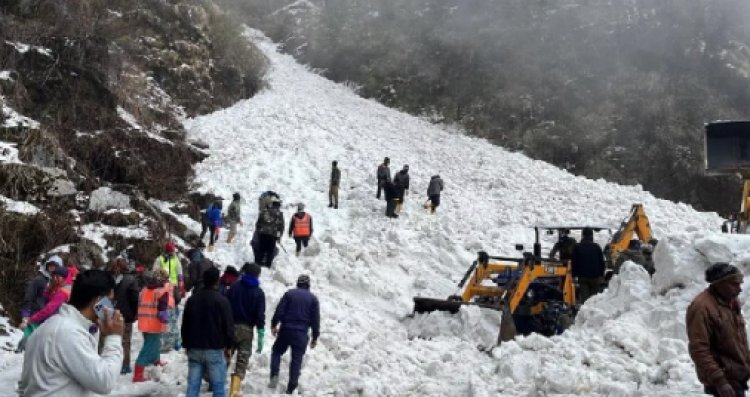 बड़ी ख़बरः नाथुला के पास हिमस्खलन से 6 पर्यटकों की मौत, कईं फंसे, देखें वीडियो