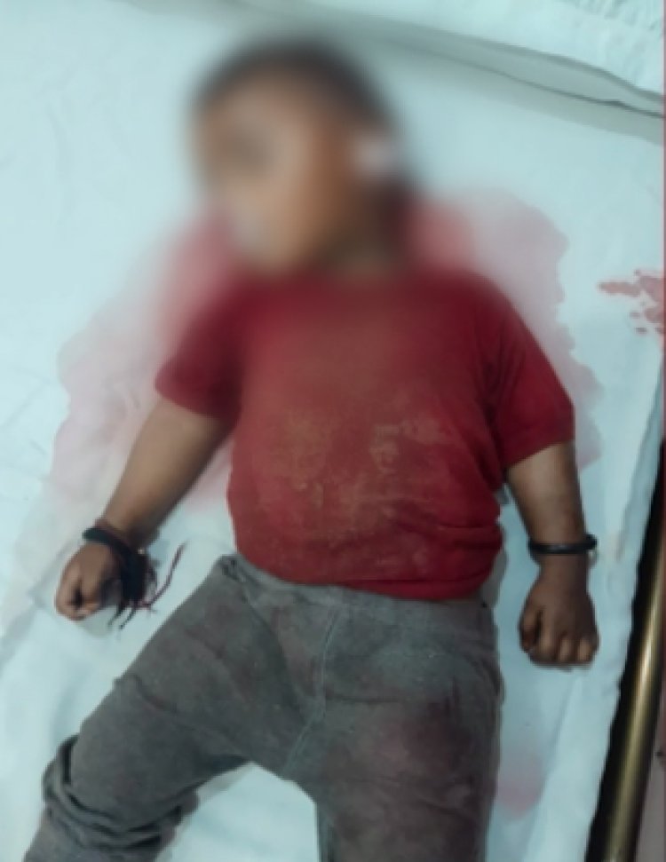 पंजाबः ACP के ड्राइवर ने कुचला डेढ़ साल का बच्चा, पुलिस ने साधी चुपी, देखें वीडियो