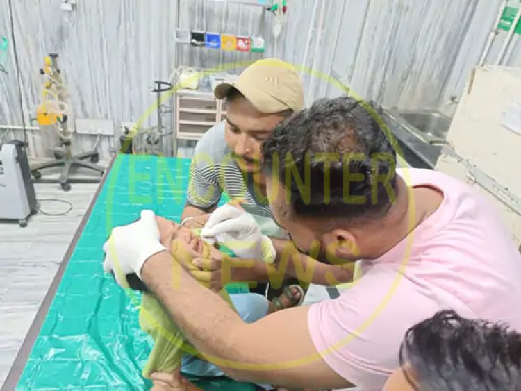 पंजाबः 2 साल के बच्चे को कुत्तों ने नोचा, अस्पताल में भर्ती