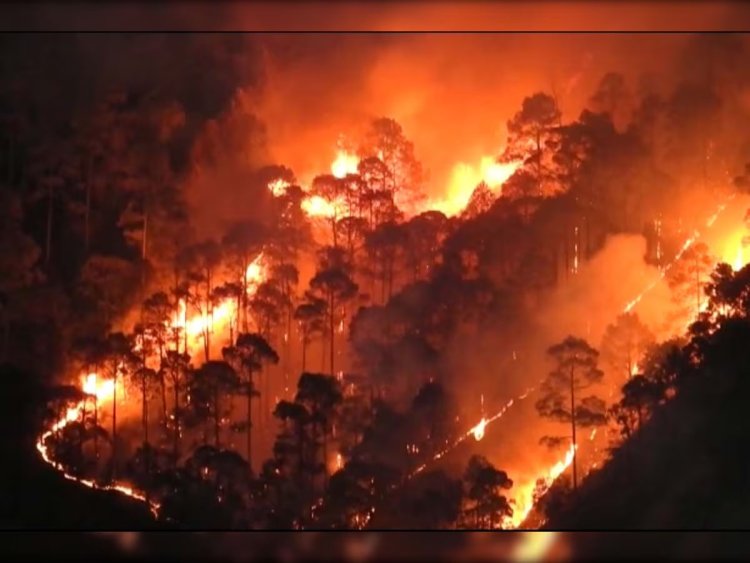 जंगलों में लगी आग ने लिया भयानक रूप, कई शहरों को खतरा