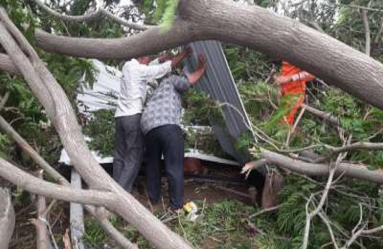 चक्रवाती तूफान बिपरजॉय ने मचाई तबाही, 200 बिजली के खंभे सहित गिरे पेड़