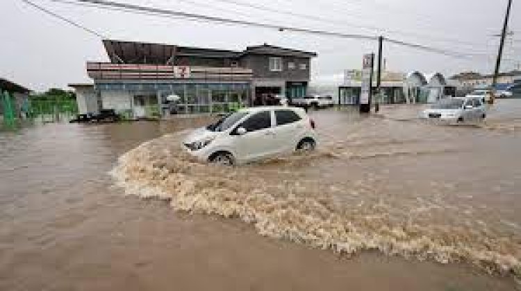 भारी बारिश और बाढ़ के कारण हालात हुए बेकाबू, 31 लोगों की मौत, दर्जनों लापता