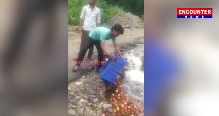 सड़क बंद होने से गुस्साए व्यक्ति ने नाले में बहा दिए सेब, देखें वीडियो