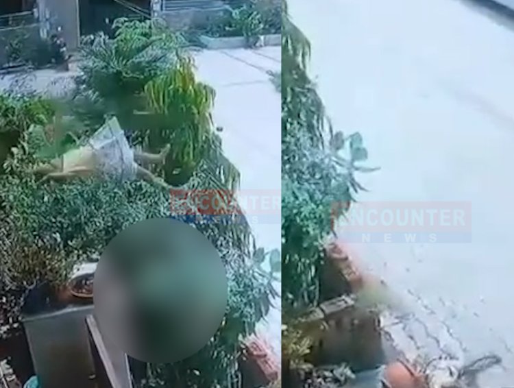 घर की छत से गिरी 2 साल की बच्ची, वीडियो वायरल 