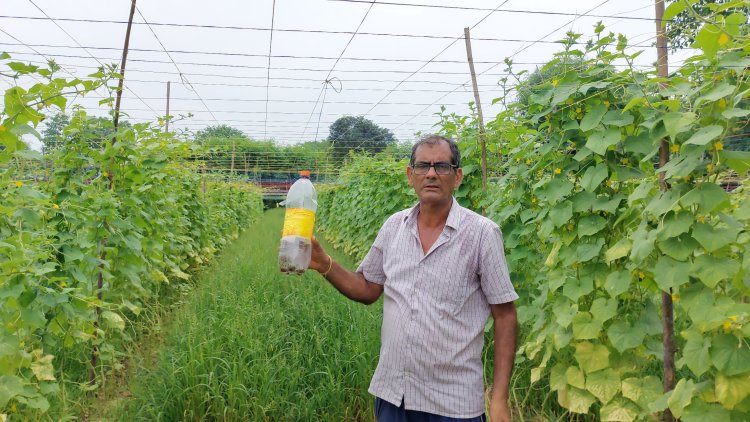 विजय कुमार को प्रेरणा स्त्रोत मानकर दूसरे किसान भी अपना रहे प्राकृतिक खेती