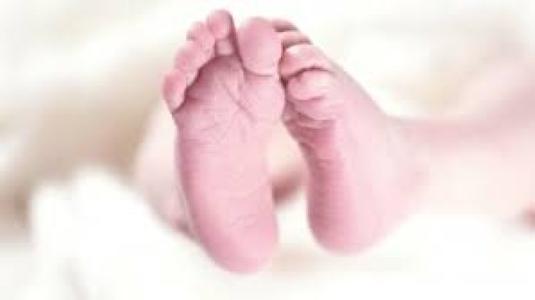 डाक्टरों ने नवजात शिशु को मृत किया घोषित, निकला जिंदा, अस्पताल के खिलाफ FIR