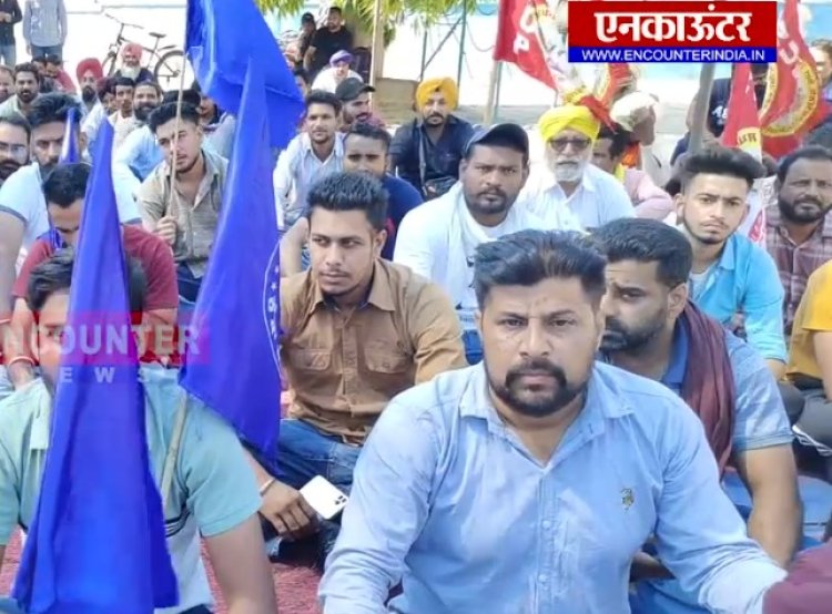 पंजाब : वेरका मिल्क प्लांट के बाहर कर्मचारियों ने किया प्रदर्शन, देखें वीडियो