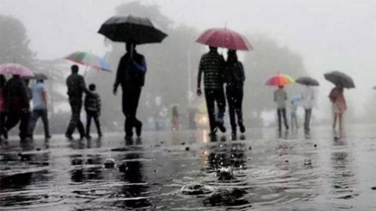 जालंधर सहित कई जिलों में बारिश से तापमान में आई गिरावट, मौसम विभाग ने जारी किया ऑरेंज अलर्ट 