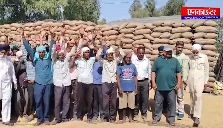 पंजाबः मंडी से धान की फसल की लिफ्टिंग ना होने से किसानों की बढ़ी परेशानी, देखें वीडियो