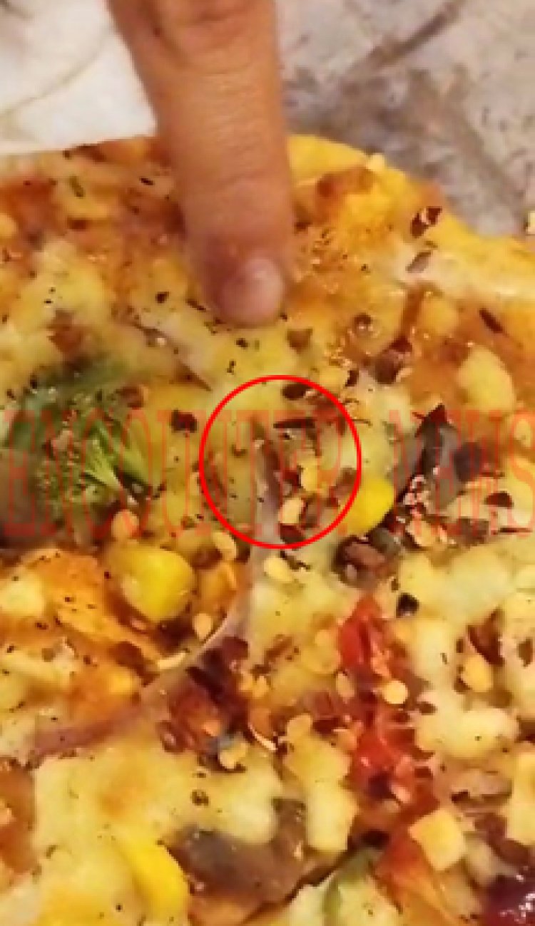 पंजाबः विवादों में आया Apna Chai Wala Restaurant, Pizza में निकली सूंडी, देखें वीडियो
