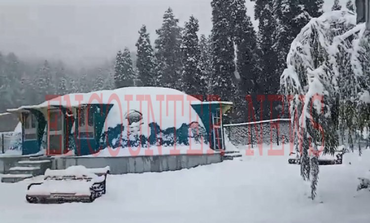 अटल टनल रोहतांग समेत लाहौल घाटी में हुई SnowFall, ये रास्ते हुए बंद, देखें वीडियो 