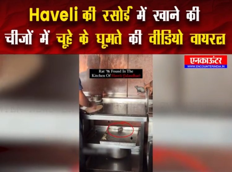 Jalandhar: Haveli की Kitchen में खाने की चीजों पर चूहे के घूमते की वीडियो वायरल