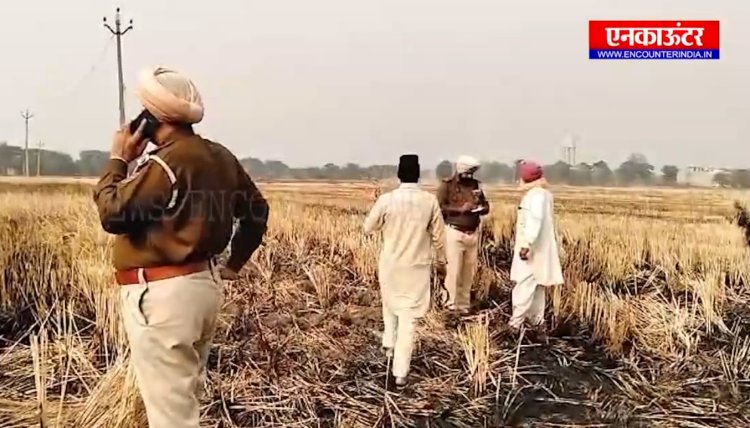 पंजाब : धान की खड़ी फसल को लगी आग, देखें वीडियो