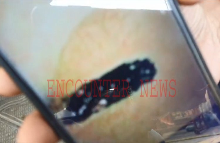 पंजाबः डेयरी में मक्खन वाली बाल्टी में मिला चूहा, देखें वीडियो