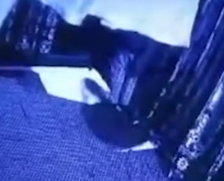 पंजाब : गुरुद्वारा साहिब में चोर ने दिया वारदात को अंजाम, देखें CCTV
