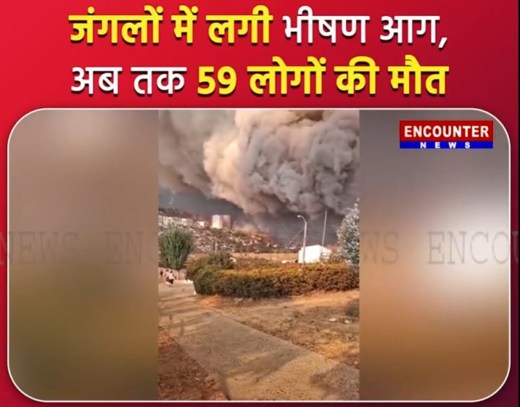 जंगलों में लगी भीषण आग, अब तक 59 लोगों की मौ'त, देखें वीडियो
