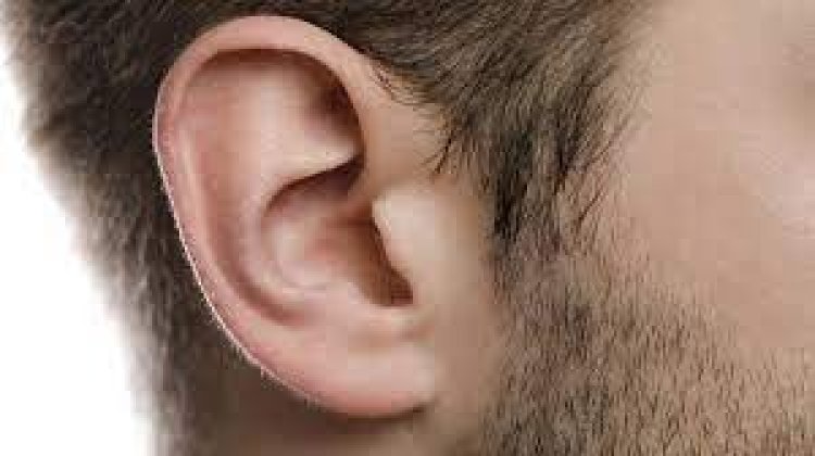 खौफनाक सजा: युवक का कान काट निगल गयी महिला 