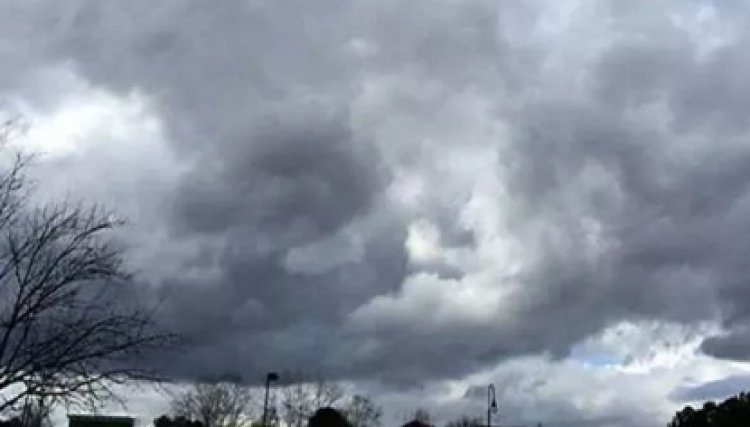 पंजाबः मौसम ने फिर ली करवट, विभाग ने जारी किया अलर्ट, देखें वीडियो