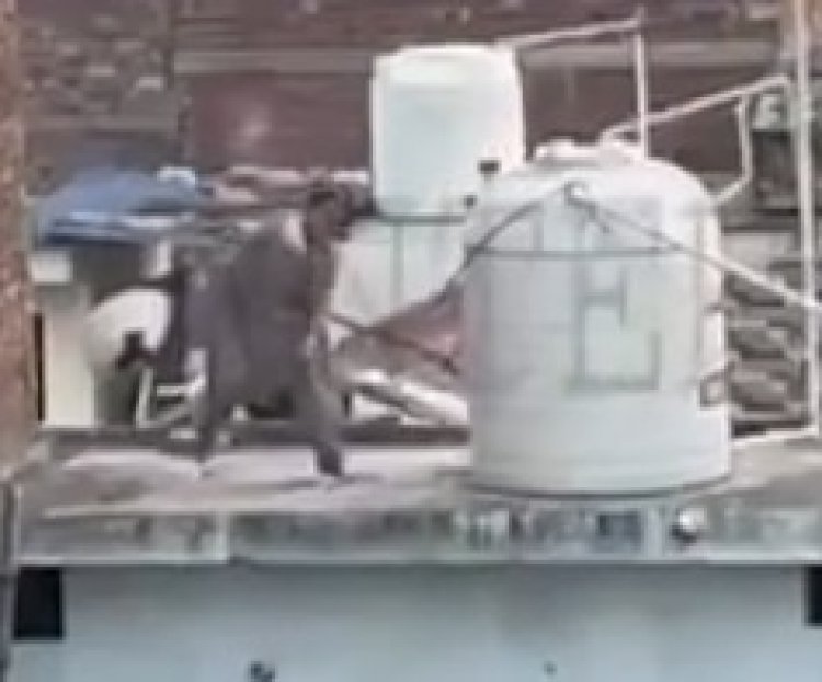 पंजाबः Pitbull Dog को लेकर कालोनी में चले ईंट पत्थर, देखें वीडियो