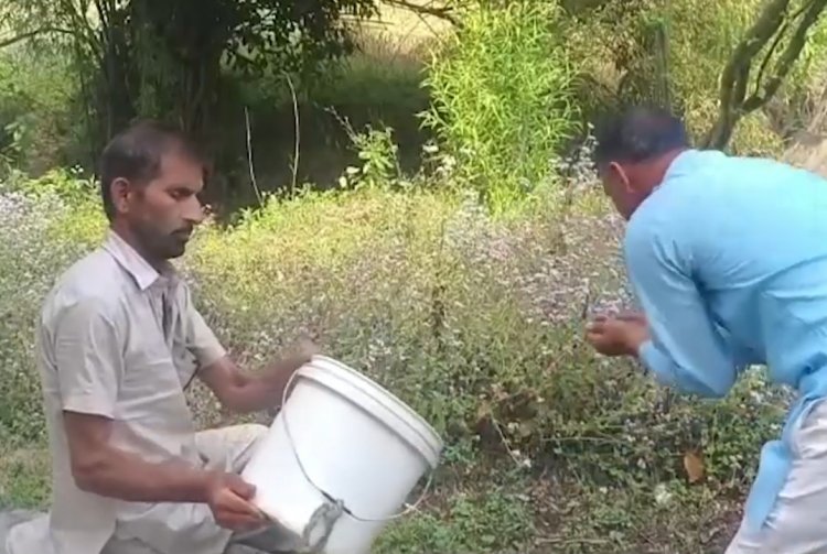 पंजाब : बिजली और पानी की समस्या से जूझ रहे है लोग, देखें वीडियो
