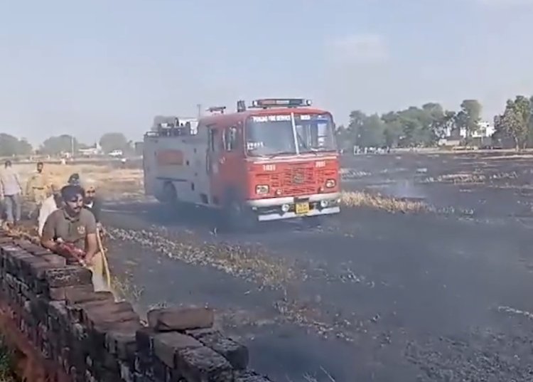 पंजाब : गेहूं की फसल को लगी भीषण आग, देखें वीडियो