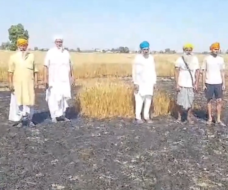 पंजाब : शार्ट सर्किट से गेहूं की फसल में लगी भीषण आग, देखें वीडियो