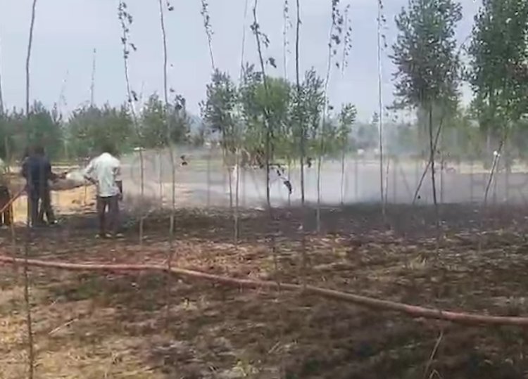 पंजाब : खेतों में लगी भीषण आग, देखें वीडियो