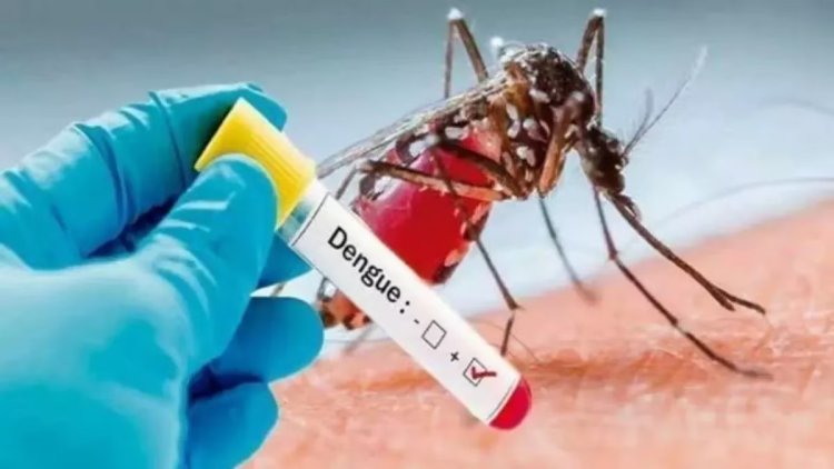 तेजी से फैल रहा डेंगू? कई देशों में लगी इमरजेंसी