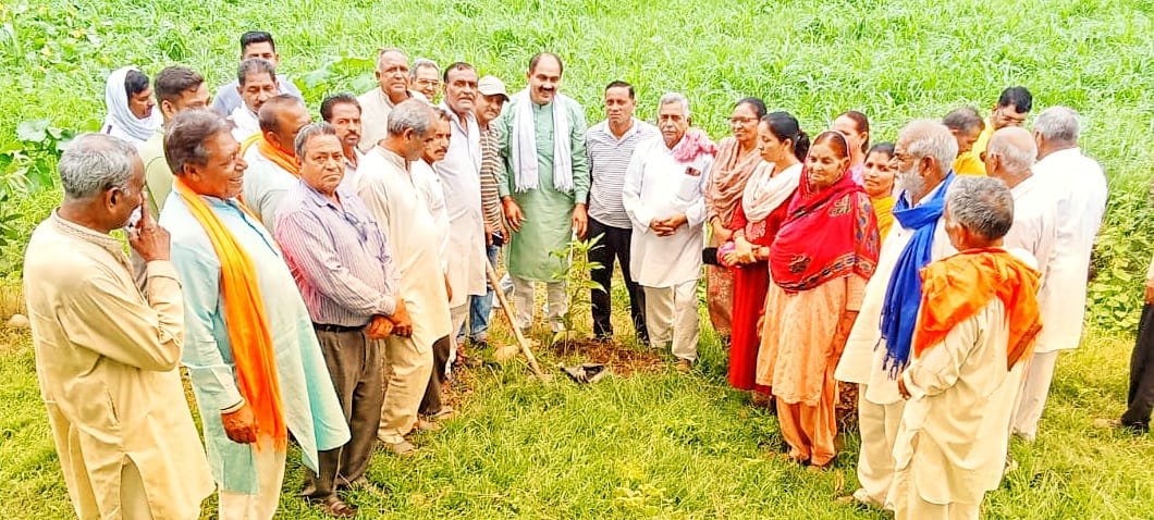पूर्व विधायक देवेंद्र भुट्टो ने डठबाड़ा गौशाला में किया पौधा रोपण