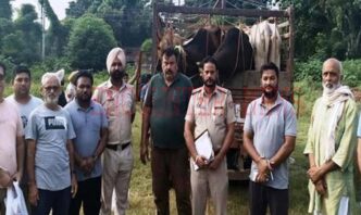 Punjab News: Jalandhar से जम्मू जा रहा गौं से भरा ट्रक बरामद, चालक फरार