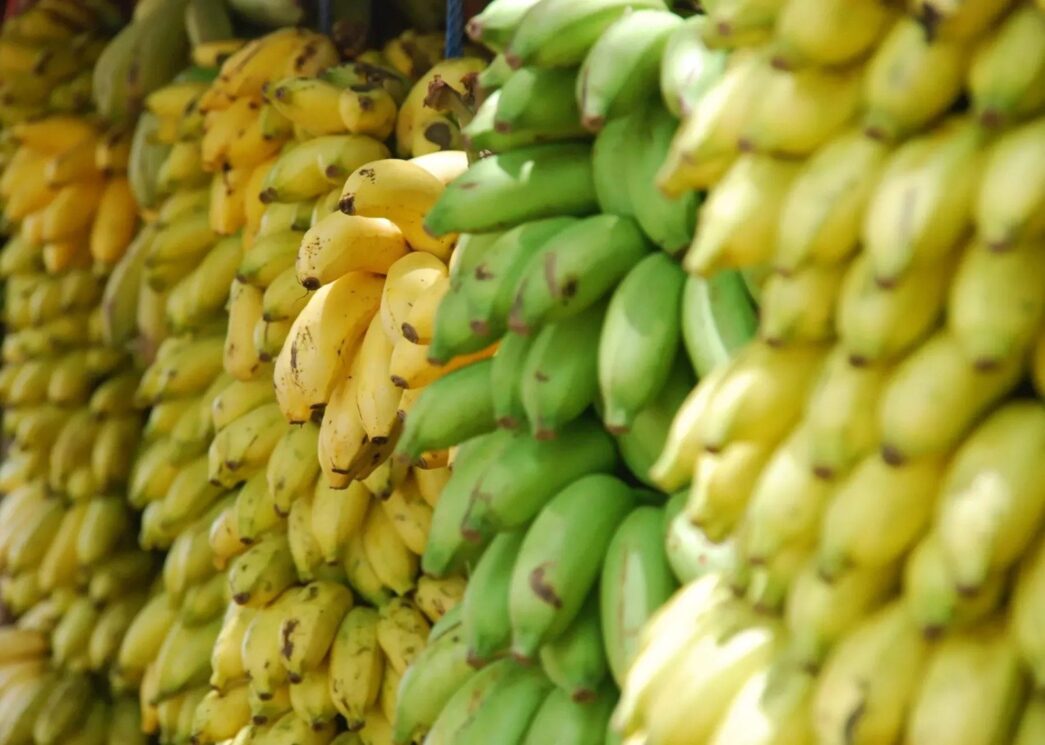 Banana खाने के तुरंत बाद न पीएं पानी, वरना हो सकती है यह समस्या
