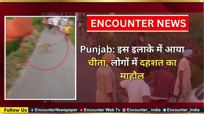 Punjab News: इस इलाके में आया चीता, लोगों में दहशत का माहौल, देखें वीडियो