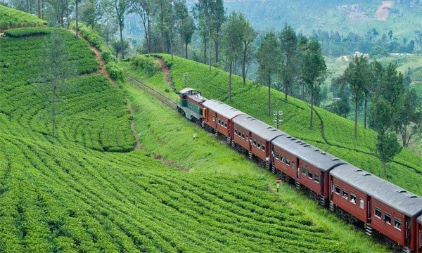घूमने-फिरने का शौक है तो IRCTC का यह Tour Package होगा आपके लिए Best