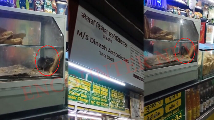 Railway Station पर दुकान में घुस पेटीज खाते चूहे की वीडियो वायरल