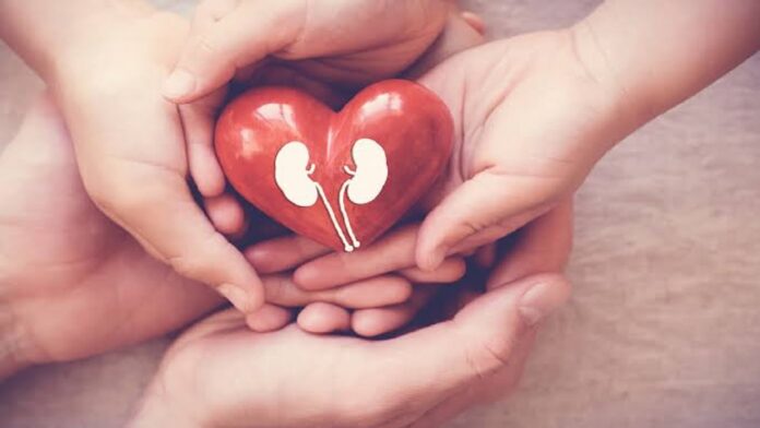 दिल के साथ-साथ Kidney का ध्यान रखना भी जरुरी, अपनाएं ये Healthy Habits