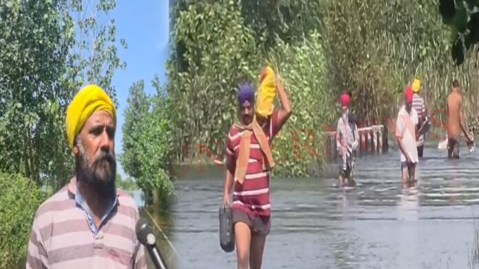 Punjab News: नोमनी नाले पर बना पुल जमीन में धंसा, बच्चों का स्कूल-कॉलेज जाना हुआ बंद, देखें वीडियो