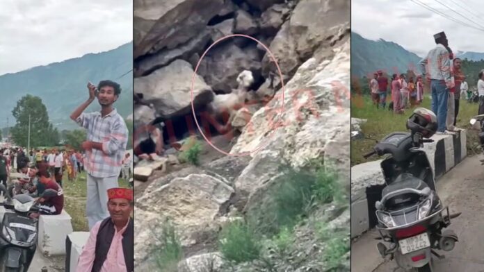 गुफा से दिन में 2 बार बकरी निकलती देखने को उमड़ी लोगों की भीड़, बनें जाम जैसे हालात, देखें वीडियो